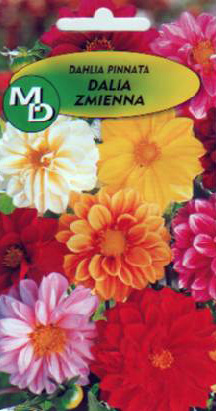 kupię hurtowo nasiona kwiatów polskich warzyw